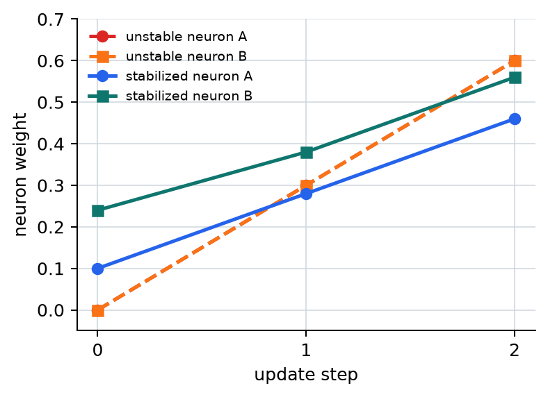 Comparison of neuron paths between the unstable scene and the stabilized scene